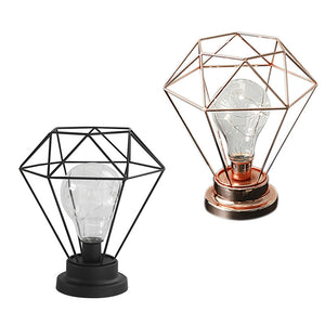 Edison Style Metal Terrarium Lamp Warm White LEDs Wire Lights Battery Operated Night Lamp